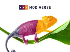 MODIVERSE - SMART & SIMPLE MDM পোস্টার