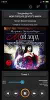 Мой лорд из другого мира. Эльд Poster