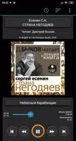Страна негодяев. Есенин С.  +  ảnh chụp màn hình 5