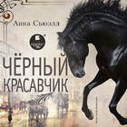 Чёрный Красавчик icono