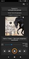 Чёрный Красавчик Poster