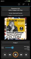 Крестовые сёстры. А.Ремизов +  bài đăng