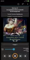 Академия пяти стихий. Возрожде captura de pantalla 4