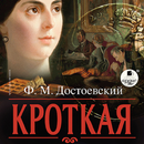 Кроткая. Достоевский APK