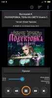Полукровка. Тень на свету. Выс Plakat