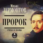 Стихи и поэмы. Лермонтов biểu tượng