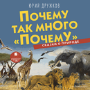 Почему так много «почему» APK