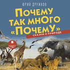 Почему так много «почему» ícone