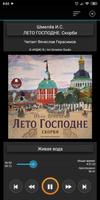 Лето Господне. Скорби Poster