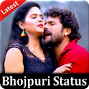 Bhojpuri Video Status - Superhit Bhojpuri Status APK