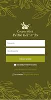 Cooperativa Pedro Bernardo Affiche