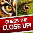 APK Guess the Close Up Pics Quiz