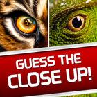 Guess the Close Up icon