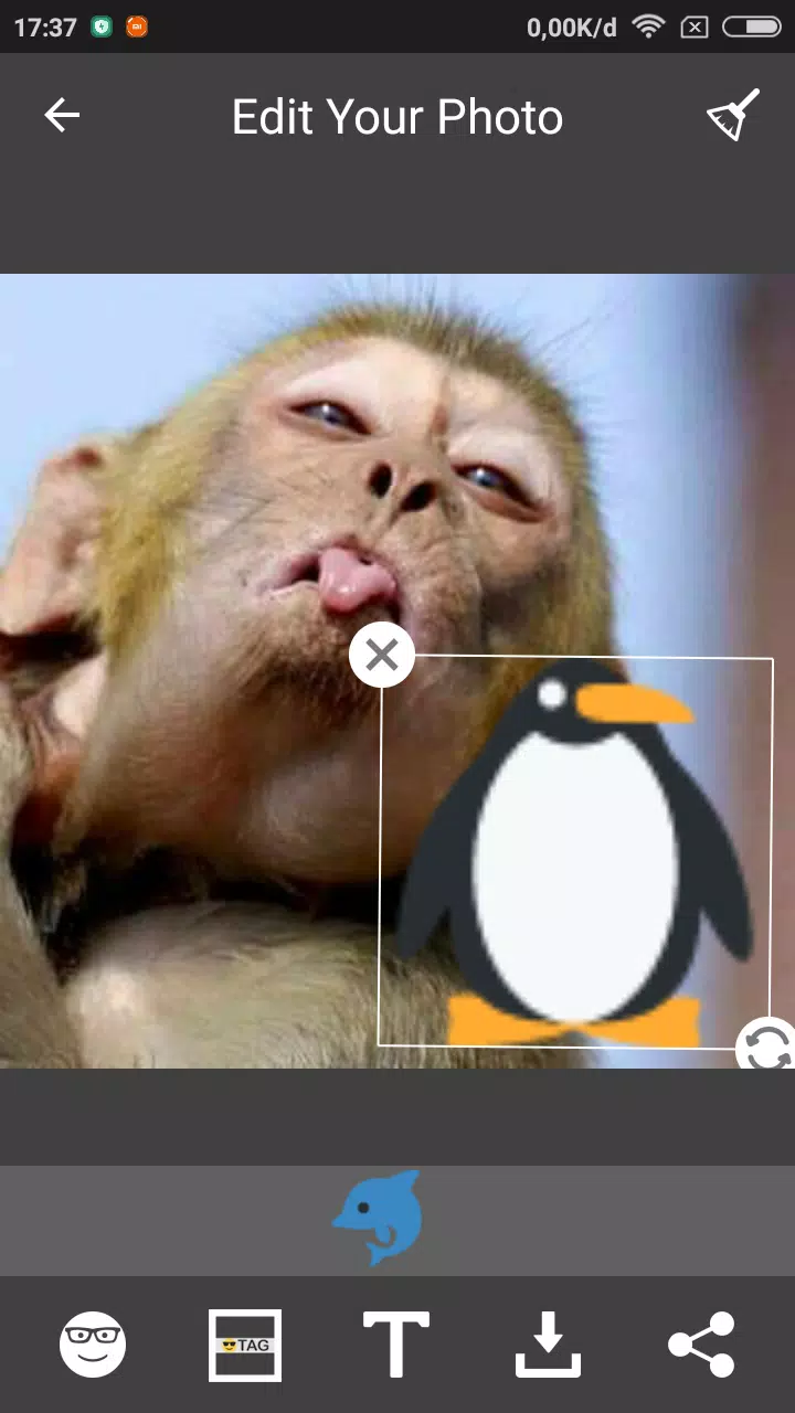 Best Funny Selfie Camera APK for Android Download Best Funny Selfie Camera APK for Android Download