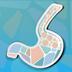 MRGE OLTRE LA PRATICA APK