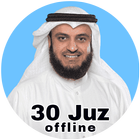 Mishary Rashid Alafasy Offline أيقونة