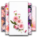 Floral Wallpaper