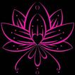 Lotus Life x Monique Christine