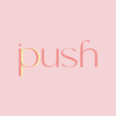PUSH PPNFT icon