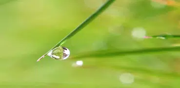 My Touch Bible (Try BibleApp)