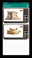 Cat TV Plakat