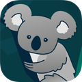 KoalaAR Remote Assistance
