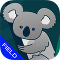 Koala Remote Assistance Field