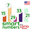 smart numbers for Florida Lott