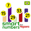 Smart numery dla Mega Sena