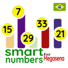 Smart numery ikona