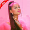 Ariana Grande Songs Offline 2019 - Boyfriend