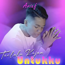 Arief Mp3 Offline Full Album APK