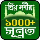 বাংলা সুন্নতের বই ~ সুন্নাত আদায়ের সহী নিয়মাবলী APK