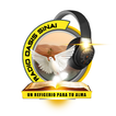 Radio Oasis Sinai ไอคอน