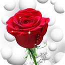 Flowers And Roses Animated APK