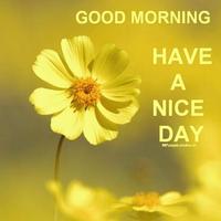 برنامه‌نما good morning night and evening عکس از صفحه