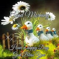 پوستر good morning night and evening