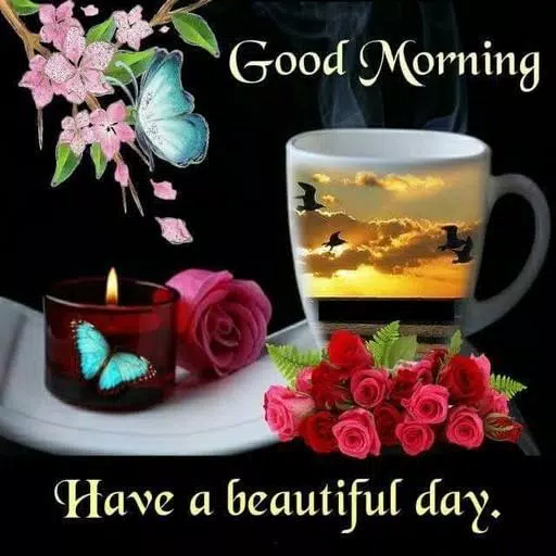 Good Morning Good Night And Evening Quotes For Android Apk Download