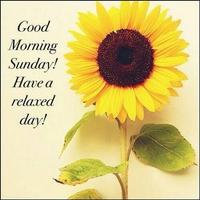 برنامه‌نما good morning night and evening عکس از صفحه