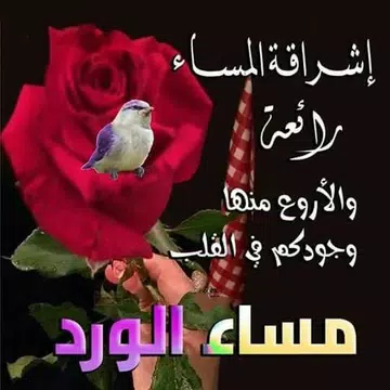 Screenshot 5 for صور و رسائل صباح و مساء