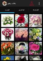 صور باقات زهور 포스터