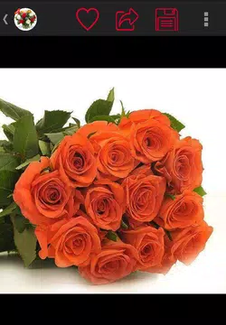 Screenshot 6 for صور باقات زهور 2023