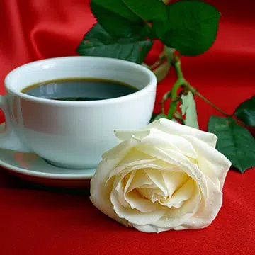 Screenshot 7 for صور باقات زهور 2023
