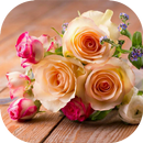 باقات ورد مميزة APK