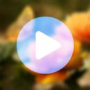 Arijit Singh All Video Songs APK