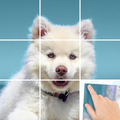 Art Part Puzzle