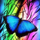 Butterfly Real Wallpapers APK