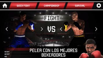 King of Boxing Free Games Poster