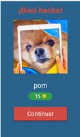 Tiktokers del mundo screenshot 1