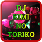 DJ Kimi No Toriko Remix 2020 Offline icône